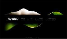 KENZO PARFUMS, Site internet KENZOKI